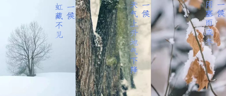 今日小雪，寒潮來襲，洗瓶機(jī)來幫你解放雙手吧！
